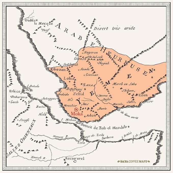 Bacha Coffee | Grand Moka Matari Single Origin Signature Nomad Collection, 100% Arabica Specialty Coffee, Whole Beans, Medium Dark Roast, 250g