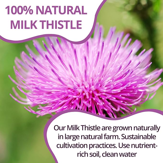 VIDA FARM Milk Thistle Tea Bags - 125 Count, 100% Natural Seeds and Leaves, Dried Herbal Tea, Sugar Free, Caffeine Free