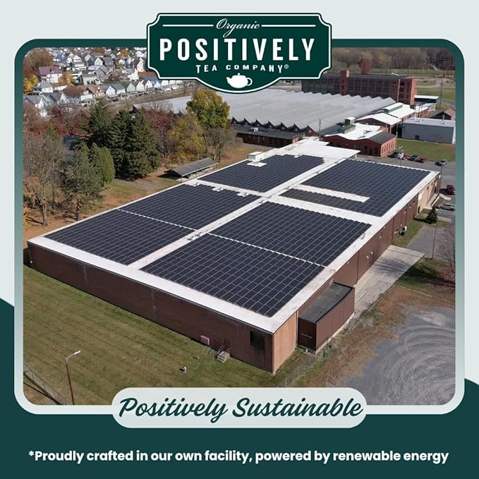 Organic Positively Tea Company, Hibiscus Herbal Tea Bags, 100 Count, Eco-Friendly Tea Bags, Non-GMO