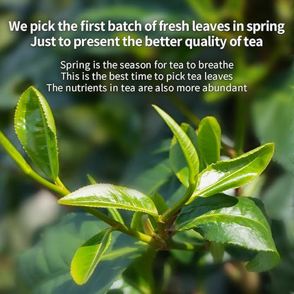 XIHETANK Black Tea Bags, 100 Count (Pack of 1),Yunnan Black Tea, 100% Pure Natural Old Tree Black Tea, Caffeinated tea,Sweet or Refreshing, Containing Caffeine,Different Sensations of Cold or Hot,