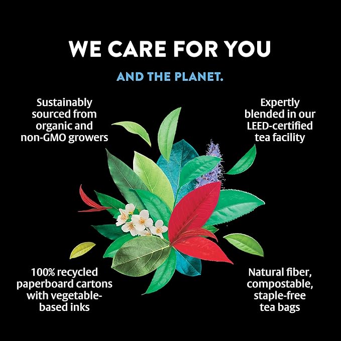 Choice Organics - Organic Spicy Cinnamon Chai Tea (3 Pack) - Rainforest Alliance - Contains Caffeine - 48 Organic Black Tea Bags