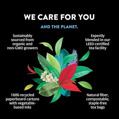 Choice Organics - Organic Spicy Cinnamon Chai Tea (6 Pack) - Rainforest Alliance - Contains Caffeine - 96 Organic Black Tea Bags