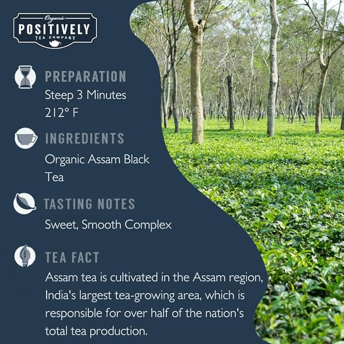 Organic Positively Tea Company, Assam TGFOP Black Tea, Loose Leaf, 4 Ounce
