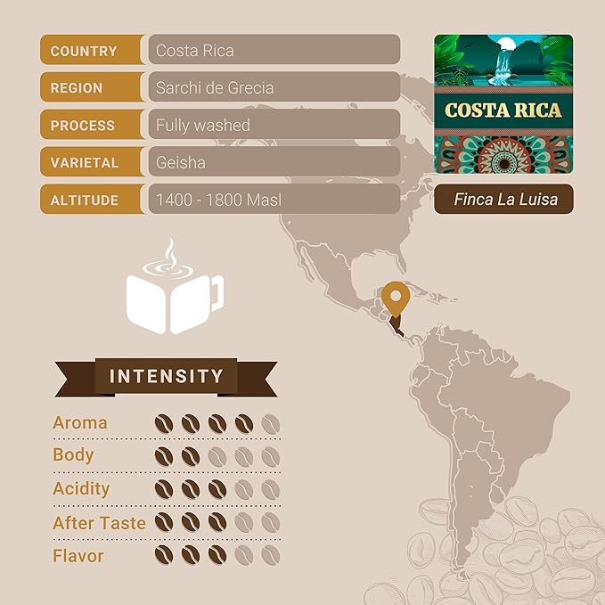 Costa Rican Coffee, Ground Coffee, Premium Costa Rica Tarrazu Single Origin Fresh Roasted Ground Coffee | Cubico Coffee | 12 Ounce Bag
