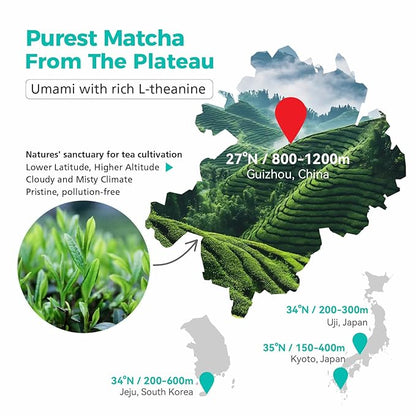 Emerail Organic Ceremonial Grade Matcha, Premium First Harvest Matcha Green Tea Powder, 100% Pure USDA-Certified, Sugar-Free Gluten-Free Vegan (40g / 1.4oz)