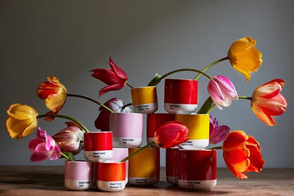 Copenhagen Design Pantone Macchiato Cup - Coffee, Latte, Macchiato Mug - 3.34oz/100ml, Black 419