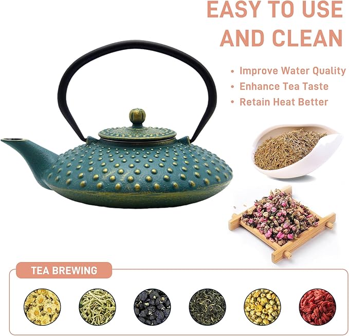 27.1oz Small Cast Iron Teapot,SECHUDO Tea Kettle Coated with Enameled Interior for Stovetop Safe, Japanese Style Cast Iron Teapot with Stainless Steel Infuser for Loose Tea,Flat Pattern(800ml)