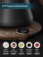 Load image into Gallery viewer, Gooseneck Electric Kettle with ±1℉ Temperature Control for Pour Over Coffee &amp; Tea, Quick Heating, BPA-Free Stainless Steel, Built-in Brew Timer, 1500W/0.9L (Rainforest)