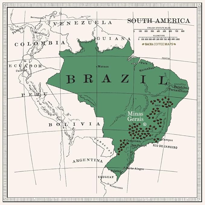 Bacha Coffee | Lagoa Brazil Single Origin, 100% Arabica Specialty Coffee Beans, Medium Light Roast, x12 Individually Wrapped Single Serve Filter Bags