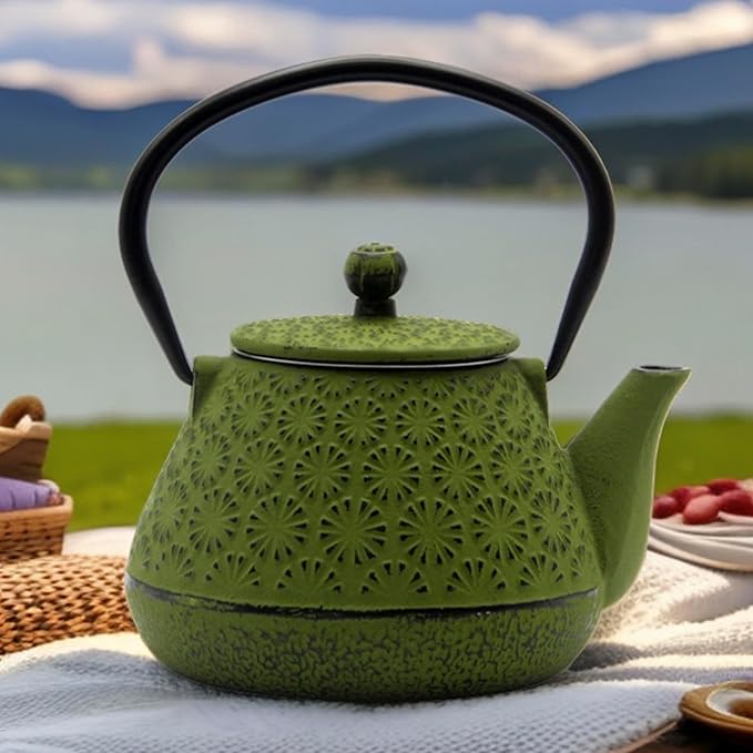 Cast Iron Teapot, 20.3oz Enameled Interior, Stainless Steel Infuser for Loose Tea (Green Gerbera Pattern)