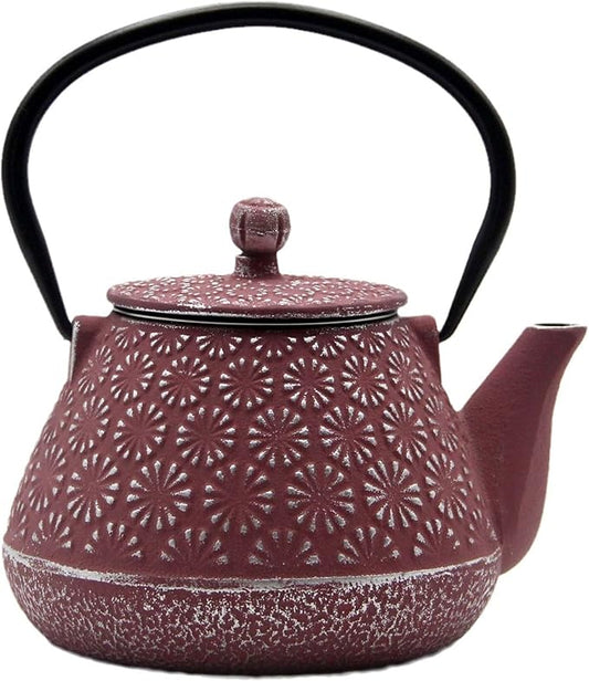 Cast Iron Teapot, 20.3oz Small, Enameled Interior, Stainless Steel Infuser for Loose Tea (Pink Gerbera Pattern)