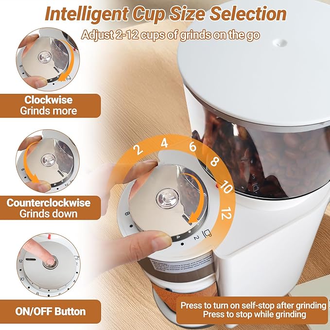 Electric Burr Coffee Grinder with 25 Grind Setting for 2-12 Cup Adjustable Stainless Steel Dosing Bean Mill Home Automatic Conical Freshly Ground Espresso Grinder with Cleaning Brush White