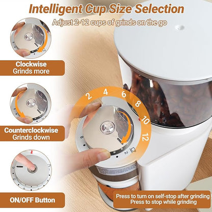 Electric Burr Coffee Grinder with 25 Grind Setting for 2-12 Cup Adjustable Stainless Steel Dosing Bean Mill Home Automatic Conical Freshly Ground Espresso Grinder with Cleaning Brush White