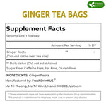 Load image into Gallery viewer, FreshDrinkUS, 150 Premium Ginger Tea Bags, Non GMO, 100% Natural &amp; Pure from Ginger Root, Root Herbal Tea. No Sugar, No Caffeine, No Gluten, Vegan. Support Stronger Digestion, Pleasantly Spicy &amp; Warming