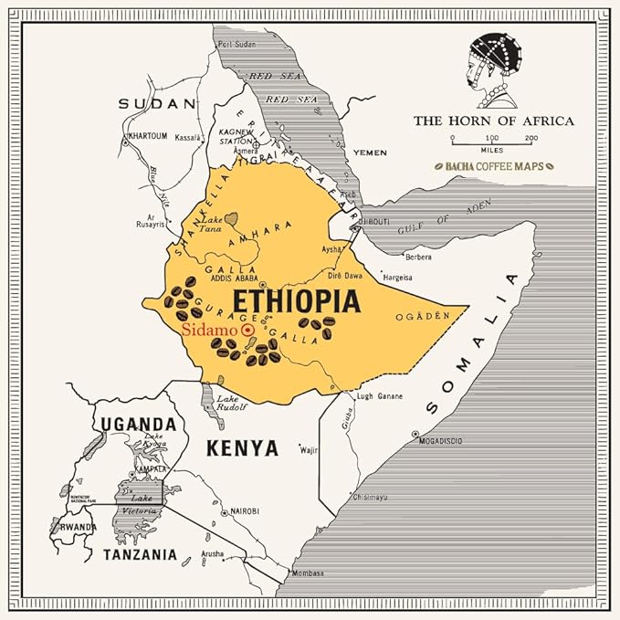 Bacha Coffee | Yirgacheffe Heirloom Single Origin Signature Nomad Collection, 100% Arabica Whole & Ground Beans Bundle