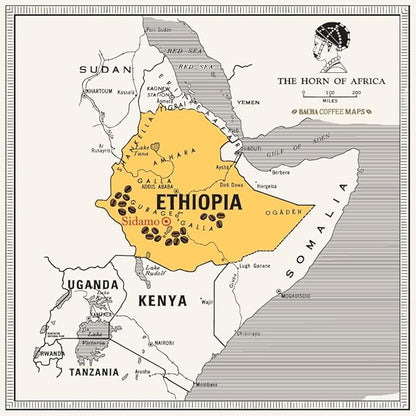 Bacha Coffee | Yirgacheffe Heirloom Single Origin Signature Nomad Collection, 100% Arabica Whole & Ground Beans Bundle