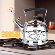 Tea Kettle Stainless Steel Teapot, Stainless Steel Teakettle for Stove Top with Heat Proof Ergonomic Handle 3.0 Quart