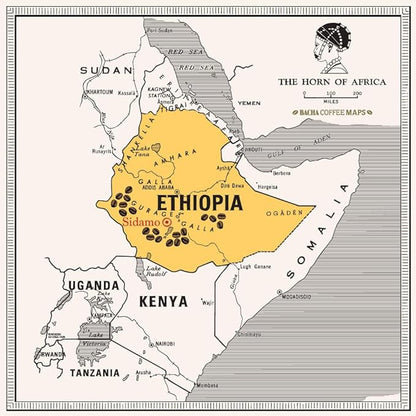 Bacha Coffee | Yirgacheffe Decaffeinated Ethiopia Single Origin, 100% Arabica Specialty Coffee Beans, Medium Dark Roast, x12 Individually Wrapped Single Serve Filter Bags