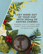 Load image into Gallery viewer, Laird Superfood Focus Coffee, Medium Roast Ground Coffee Infused with Functional Mushrooms and Botanical Adaptogens, 12 oz. Bag (Pack of 2)