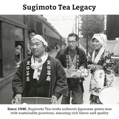 SUGIMOTO TEA Japanese Sencha Green Tea Bags 20 Count Pack of 3