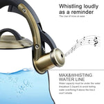 Load image into Gallery viewer, Tea Kettle -2.2 Quart Tea Kettles Stovetop Whistling Teapot Stainless Steel Tea Pots for Stove Top Whistle Tea Pot