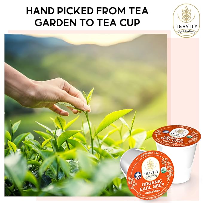 Organic Earl Grey Tea Pods for Keurig - Caffeinated Unsweet Black Tea for K Cup Brewing by Teavity (24 Tea Pods)