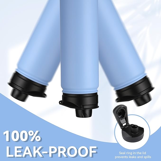 HASLE OUTFITTERS Insulated Water Bottle 22 oz Double Wall Stainless Steel Water Bottle Wide Mouth with Straw Lid & Spout Lid Keeps Cold or Hot(Blue,1)