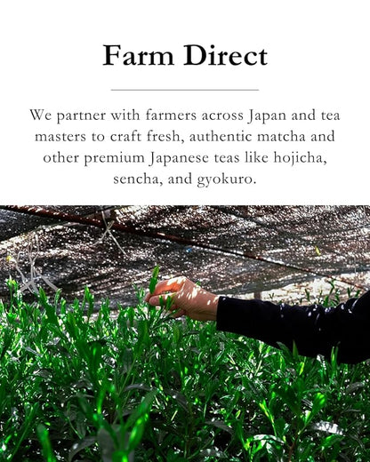 Emptea Sencha Japanese Green Tea Loose Leaf - Asamushi Light Steamed First Harvest Tea Masters Blend Oragnic Unsweetened Japanese Green Tea 2.82 oz (80g)