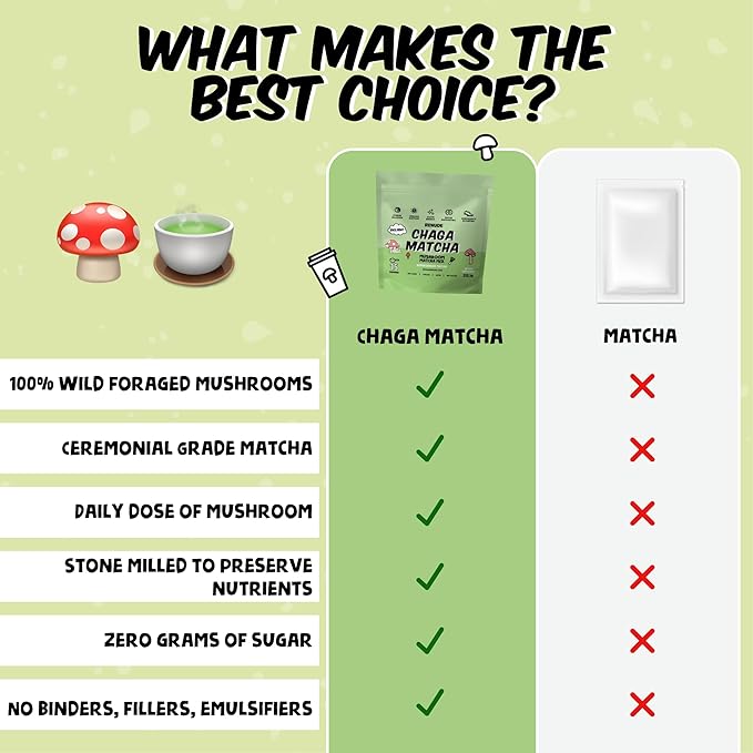 Renude Chaga Matcha - Chaga Mushroom Powder, Superfood Drink Mix with Adaptogens, Ceremonial Grade Mushroom Matcha, Keto, Vegan, Sugar Free, Natural Energy & Immune Support - 15 Servings per Bag