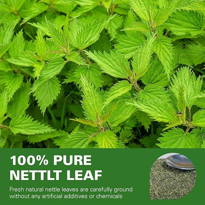 WT WEETEE Nettle Leaf Tea Bags, Made with 100% Pure Stinging Nettle Leaf, Natural Caffeine-free Herbal Tea Rich in Vitamins & Minerals,1.5g x 100 Counts