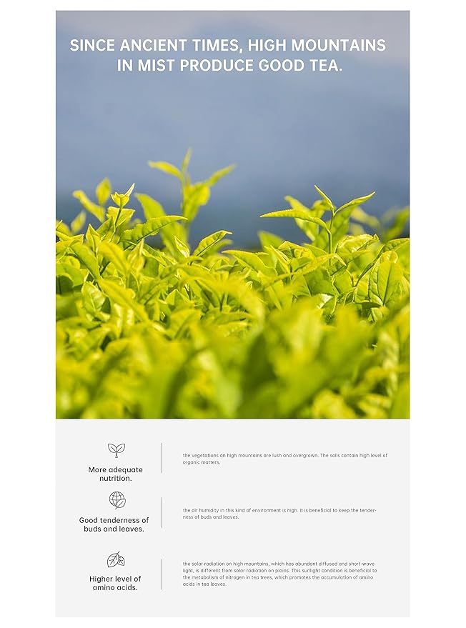 iTeaworld Da Hong Pao - Oolong Loose Leaf - Wuyi Rock Tea, Oolong Tea Loose Leaf Scent Whole Loose leaves for Daily Use, with 20 Eco-Conscious Tea Bags （3.5oz/100g)