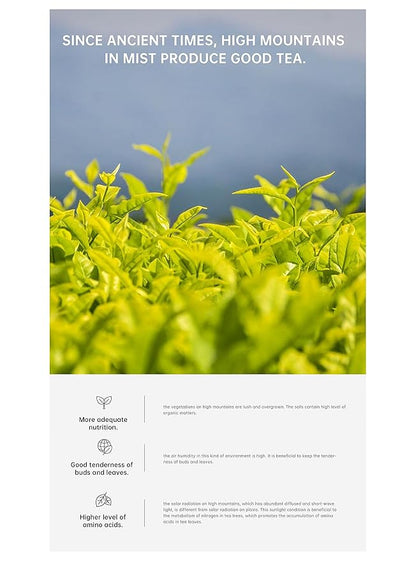 iTeaworld Da Hong Pao - Oolong Loose Leaf - Wuyi Rock Tea, Oolong Tea Loose Leaf Scent Whole Loose leaves for Daily Use, with 20 Eco-Conscious Tea Bags （3.5oz/100g)