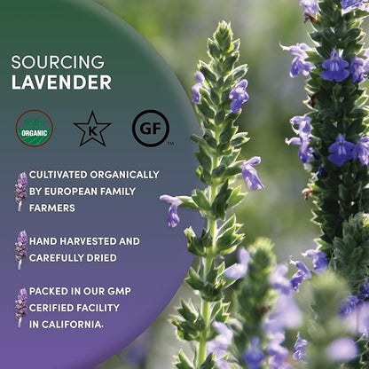 Worldwide Botanicals Organic Lavender Flowers, 1 lb, Pure European Lavender buds, Perfect for Aromatherapy, Sachets, Wedding celebrations, Tea flavoring, Eye pillows Scenting The Home