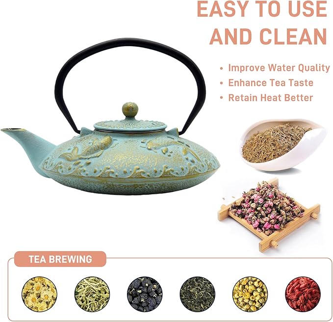 27.1oz Small Cast Iron Teapot, SECHUDO Japanese Style Tea Kettle Coated with Enameled Interior for Stovetop Safe,Cast Iron Tea Pot with Stainless Steel Strainer for Loose Leaf,Flat Fish Pattern(800ml)