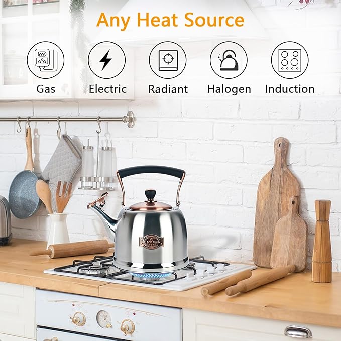 Tea Kettle Stainless Steel Teapot, Stainless Steel Teakettle for Stove Top with Heat Proof Ergonomic Handle 3.0 Quart