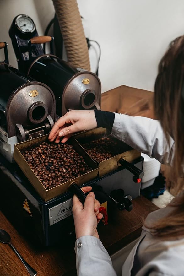 Bristot 100% Brasile Capsules compatible with Lavazza Blue* Machines | Medium Roast | 1050 Count