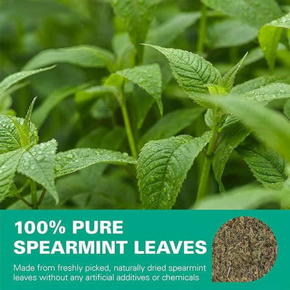 WT WEETEE Spearmint Tea Bags, Made with 100% Pure Spearmint Leaf, Natural Caffeine-free Herbal Tea, Refreshing & Smooth Mint Tea