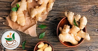 TeadreamTea Ginger Tea Bags - 200 Bleach-Free Tea Bags | Caffeine Free, Antioxidant, Calms Upset Stomach - Strengthen Immune System - Herbal Ginger Tea