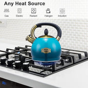 Whistling Tea Kettle Stove Top Teapot, Stainless Steel Teakettle (2.8 QUART, Blue)