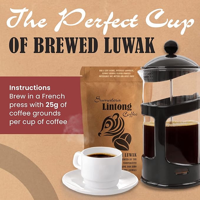 Wild Kopi Luwak, the World’s Most Exclusive Coffee, Sustainably Sourced From Sumatra, Indonesia (100gr / 3.5oz)