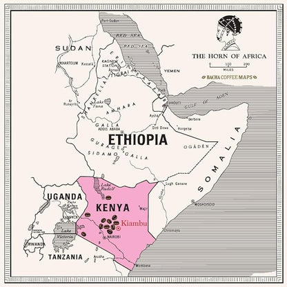 Bacha Coffee | Mount Kenya Single Origin, 100% Arabica Specialty Coffee Beans, Medium Dark Roast, x12 Individually Wrapped Single Serve Filter Bags