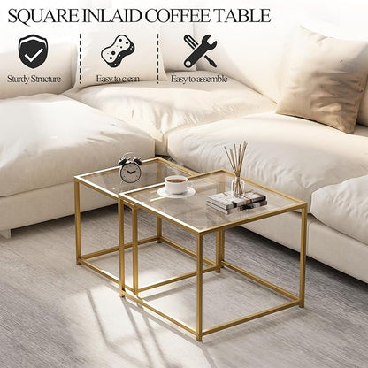 Glass Coffee Table Gold,Nesting Tables Set of 2, Minimalist Coffee Side End Tables for Small Spaces, Sofa Side Tea Coffee Table with Metal Frame for Home, Office, Space-Saving
