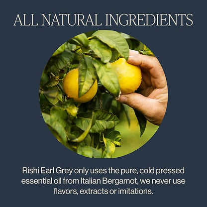 Rishi Tea Earl Grey Tea - Organic Sachet Tea Bags, Pure Black Tea with Bergamot Oil, Energizing & Caffeinated - 50 Count