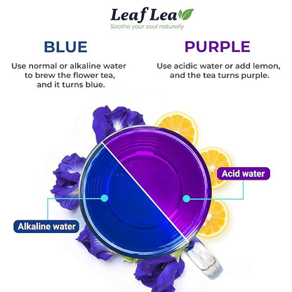 LeafLea 80 Butterfly Pea Flower Tea Bags, Natural Herbal Tea for Blue and Purple Drinks, Mocktails, and Food Coloring, Caffeine-Free, Sugar-Free, Non-GMO, Pack of 2