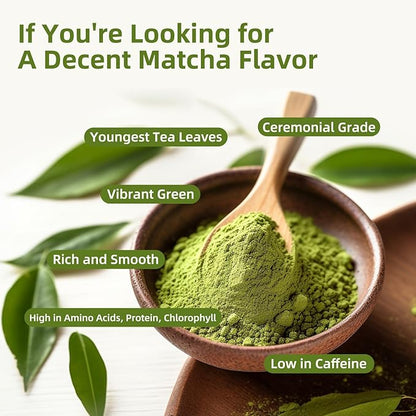 Mushroom Matcha Powder Latte Mix, 7.4 Ounce, 7 Superfood Mushrooms with 25% Beta-Glucans, Lions Mane, Reishi, Chaga, Coconut Powder, Ceremonial Grade Matcha Tea