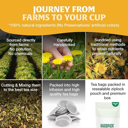 HANDPICK - Dandelion Root Tea bags, 100 Teabags - Natural Dandelion Herbal Tea for Liver & Kidney Health - Non-GMO - Caffeine-free - Support Digestion & Boost Immune System