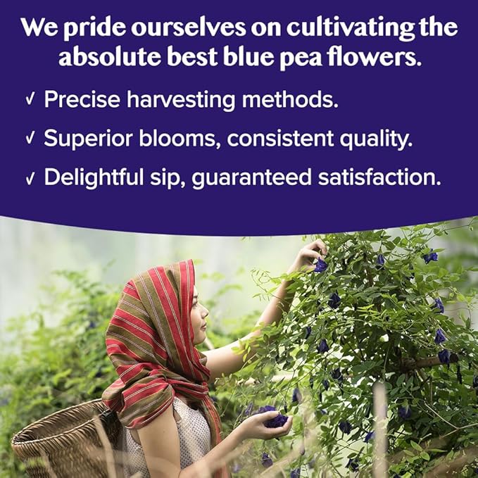 VAHDAM, Butterfly Pea Flower Tea Bags (40 Pyramid Teabags) Vegan, Non-GMO | Delicate & Earthy | Direct From Source - Plant Based Biodegradable Tea Bags | Brew Iced Tea, Cooking, Mocktails & Cocktails