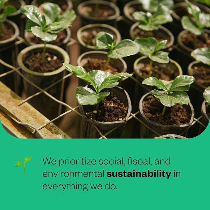 Counter Culture Coffee - Certified Organic Whole Bean Coffee (Kosher) (Tinto Double Pack)