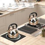 Load image into Gallery viewer, Stainless Steel Whistling Tea Kettle with Metal Capsulated Bottom for Quick Heat Distribution 2.8 Quart