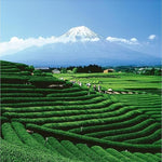 Load image into Gallery viewer, Palais des Thés Herbal Tea - Organic Rooibos of Lords Caffeine-Free Earl Grey Blend with Bergamot - Premium Tea Bags - Serves 20 Cups